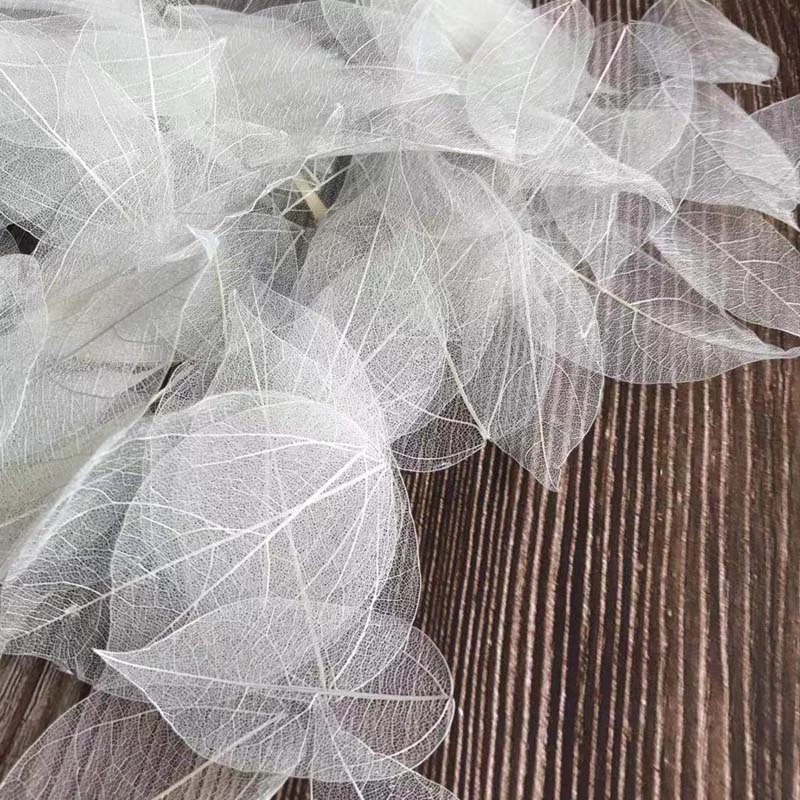 Dried Flower Bouquet - 5 ~ 9 سنتيمتر * 2