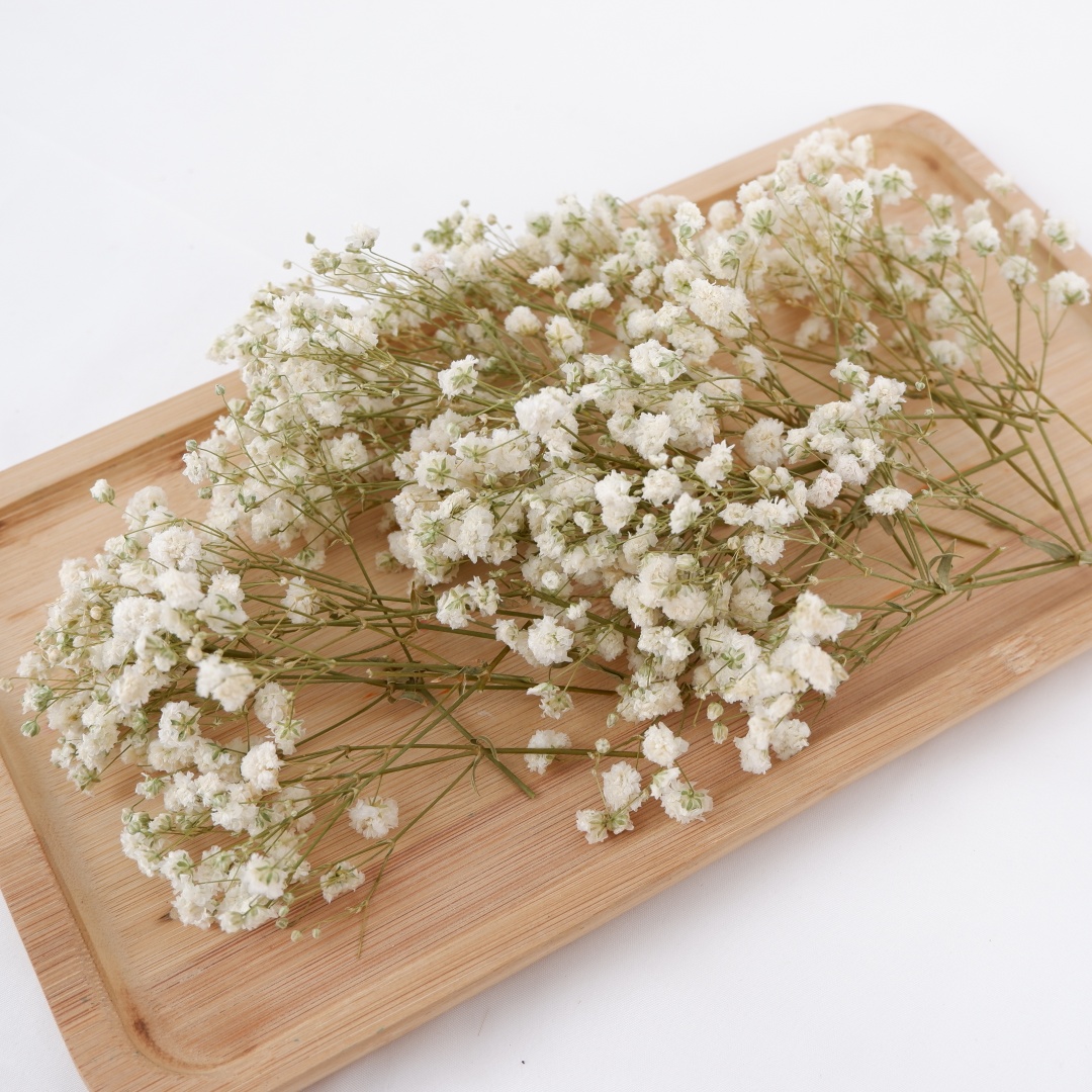 Home Decor Vase With Flowers - زهور مجففة بيضاء صغيرة مجففة للأطفال