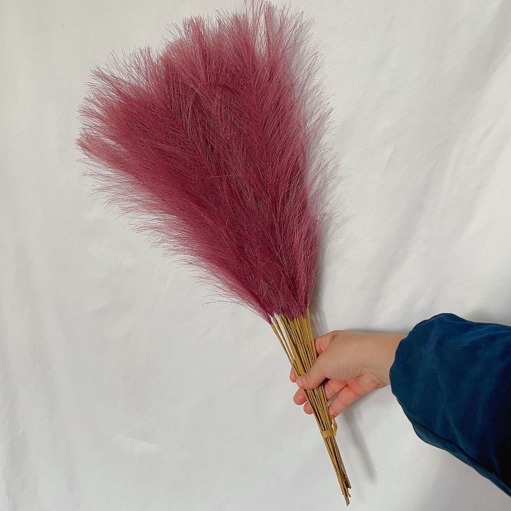 Pampas Grass Decor - مجموعة من 10 قطع من عشب
