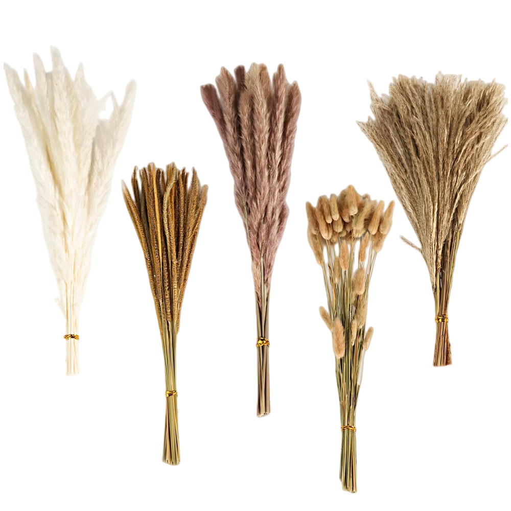 Pampas Grass Decor - باقة زهور مجففة مختلطة بتصميم عتيق