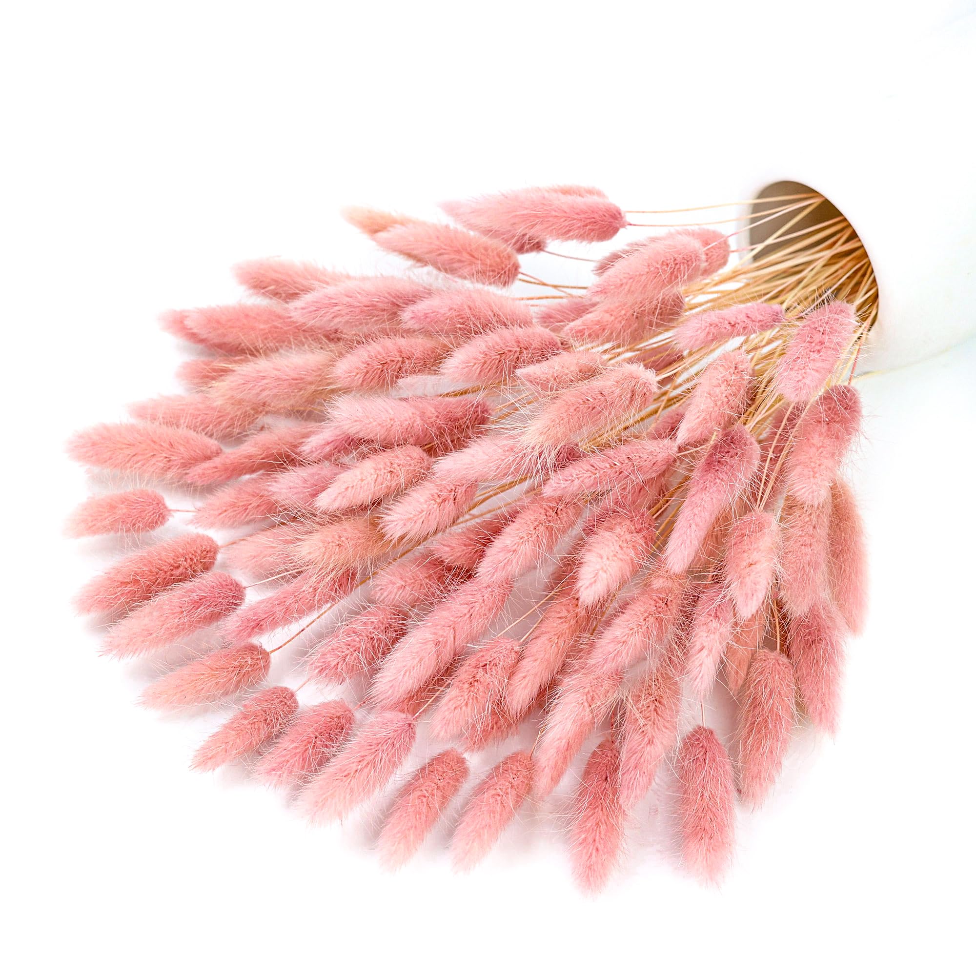Pampas Grass Decor - 120 الجذعية الوردي المجففة بامباس الأرنب