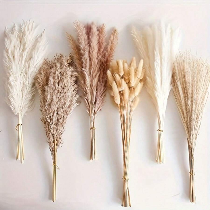 Pampas Grass Decor - 110 قطعة من باقة عشب البامباس