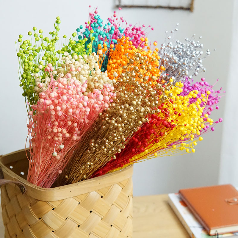 35 جرام/الأورموسيا المحفوظة Ho - مراجعة Dried Flower Bouquet وسعره
