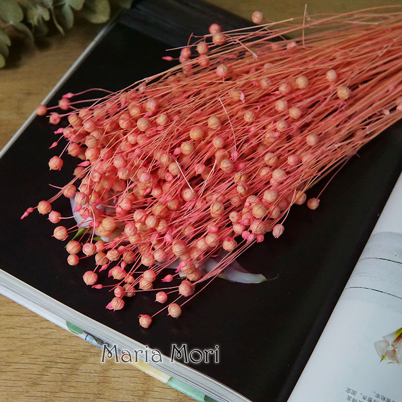 35 جرام/الأورموسيا المحفوظة Ho - مراجعة Dried Flower Bouquet وسعره