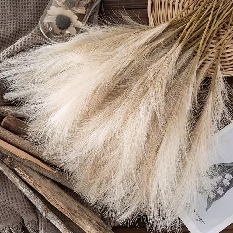5 قطع/مجموعة زهور صناعية من عش - مراجعة Pampas Grass Decor وسعره