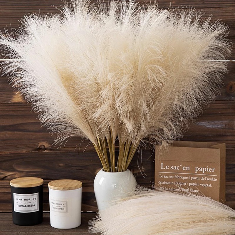 5 قطع/مجموعة زهور صناعية من عش - مراجعة Pampas Grass Decor وسعره