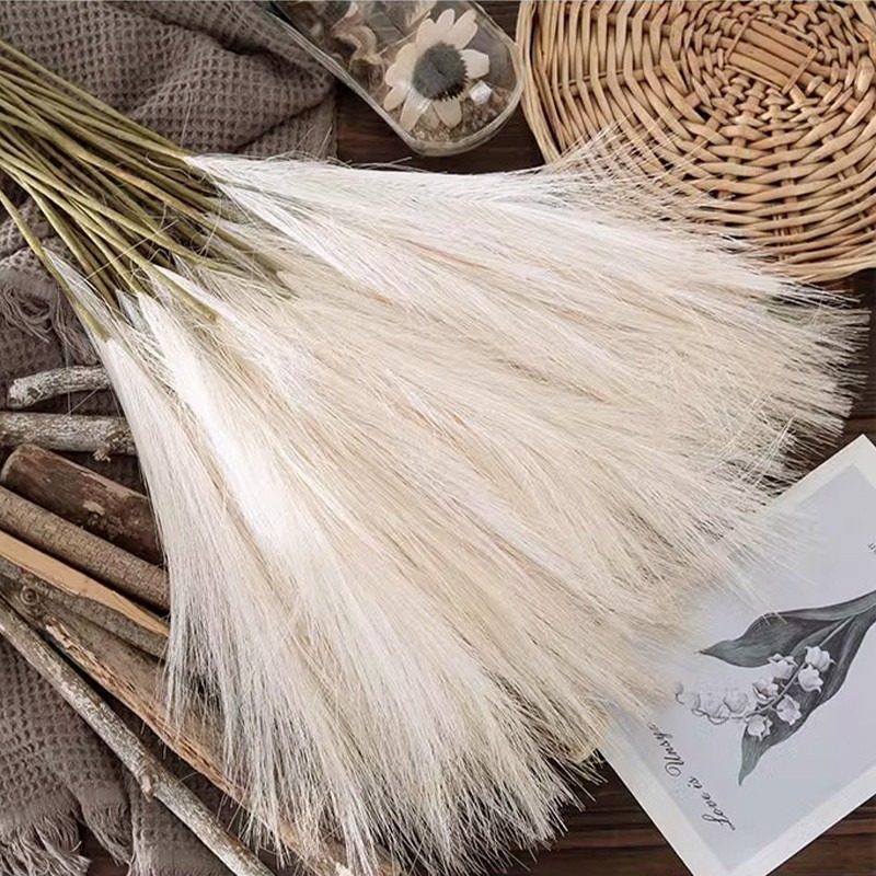 5 قطع/مجموعة زهور صناعية من عش - مراجعة Pampas Grass Decor وسعره