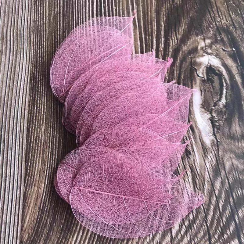 5 ~ 9 سنتيمتر * 2 ~ 3.5 سنتيمت - مراجعة Dried Flower Bouquet وسعره