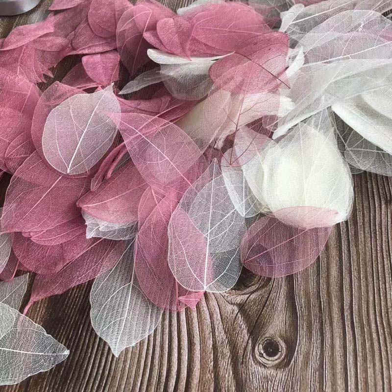 5 ~ 9 سنتيمتر * 2 ~ 3.5 سنتيمت - مراجعة Dried Flower Bouquet وسعره