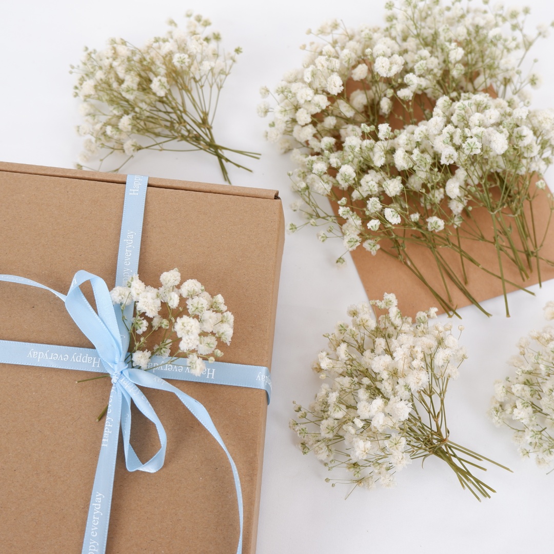 زهور مجففة بيضاء صغيرة مجففة ل - مراجعة Home Decor Vase With Flowers وسعره