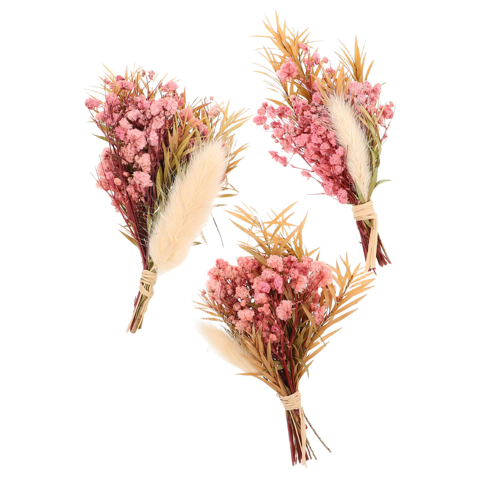 3 قطع باقة زهور مجففة صغيرة طب - مراجعة Dried Flower Bouquet وسعره