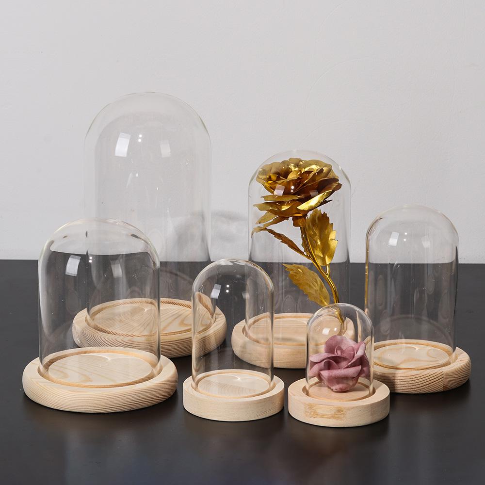 مزهرية زجاجية للديكور المنزلي  - مراجعة Home Decor Vase With Flowers وسعره