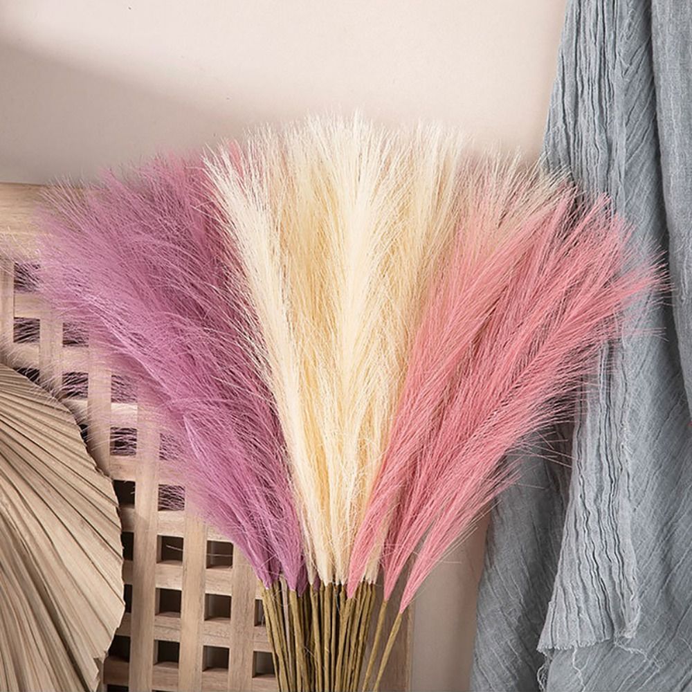 مجموعة من 10 قطع من عشب البامب - مراجعة Pampas Grass Decor وسعره
