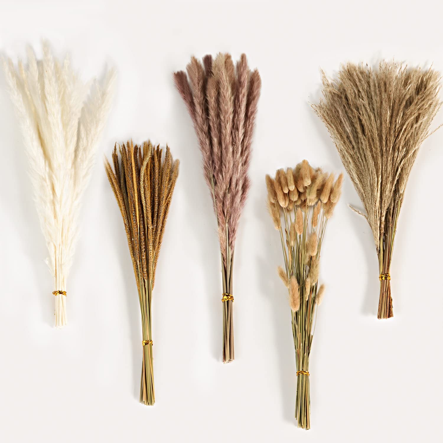باقة زهور مجففة مختلطة بتصميم  - مراجعة Pampas Grass Decor وسعره