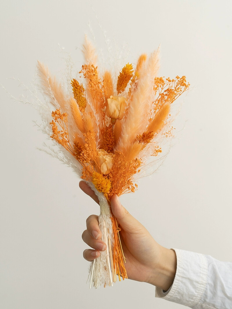 الحفاظ على ذيل أرنب الورد القص - مراجعة Dried Flower Bouquet وسعره