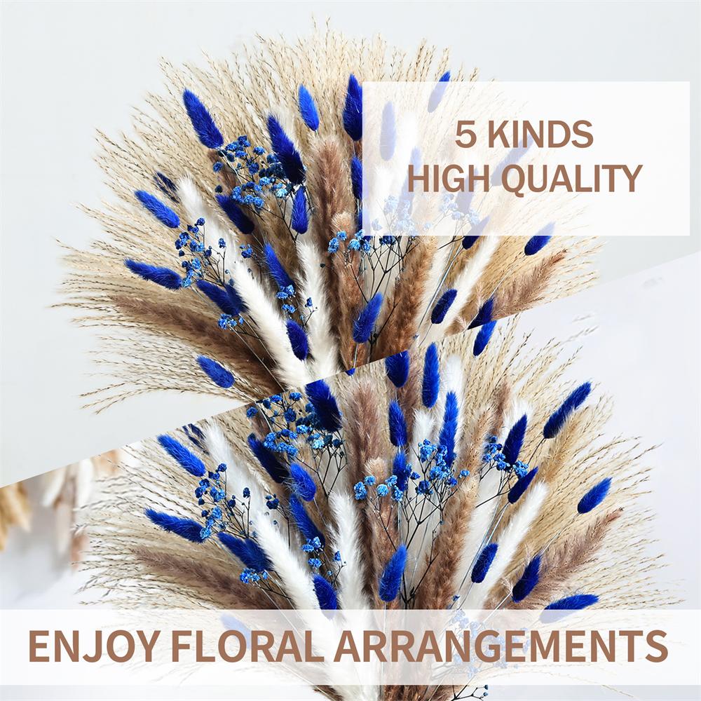 70 قطعة Pampas الأزرق الزهور ا - مراجعة Dried Flower Bouquet وسعره