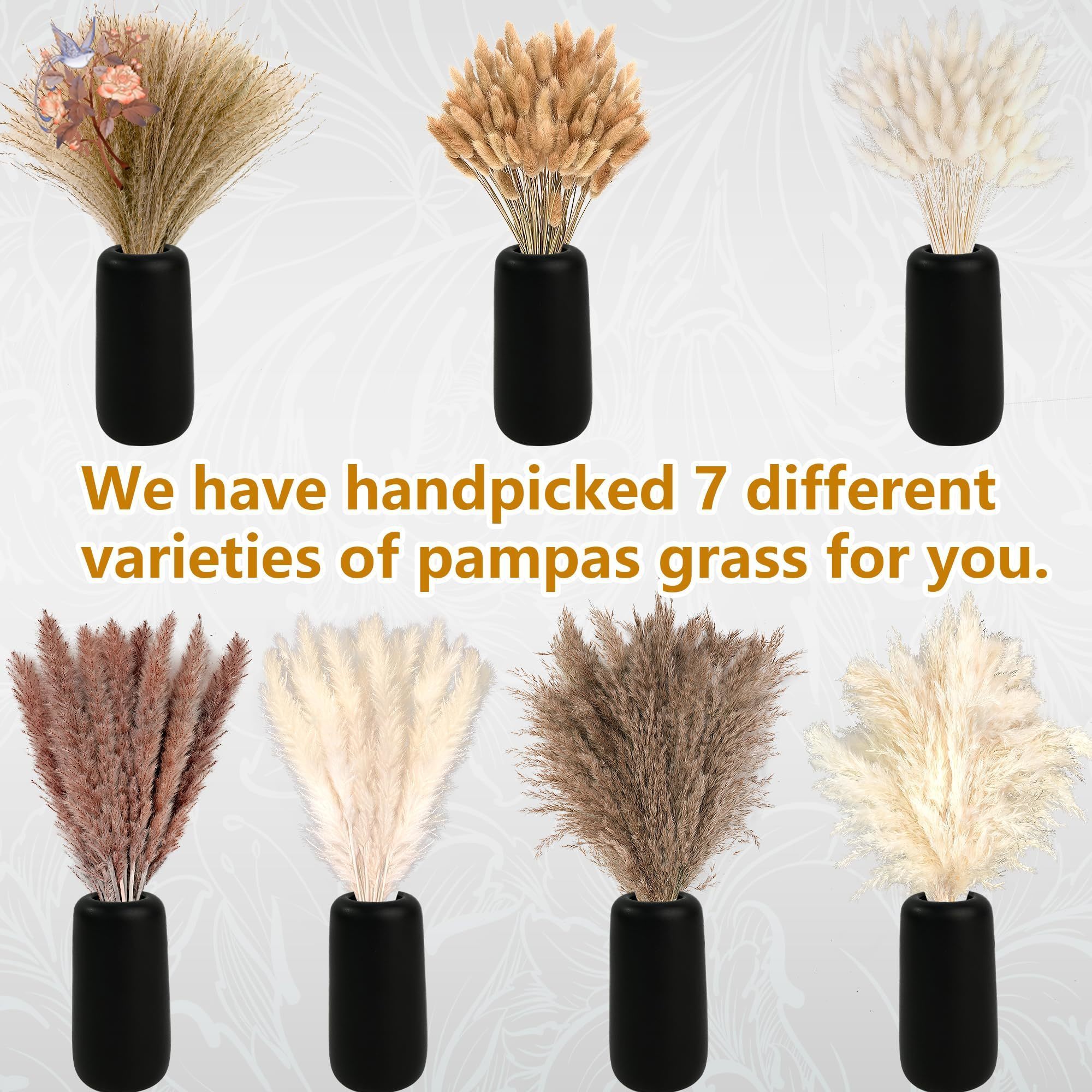 300 قطعة عشب بامباس الطبيعي ال - مراجعة Pampas Grass Decor وسعره