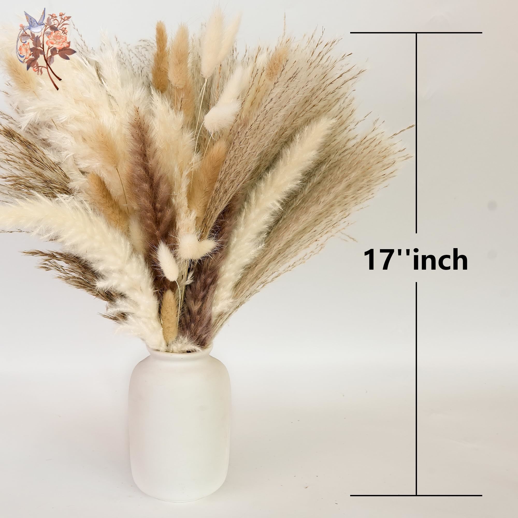 300 قطعة عشب بامباس الطبيعي ال - مراجعة Pampas Grass Decor وسعره