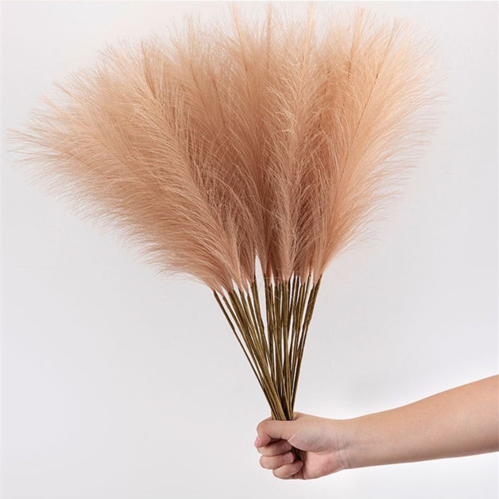 عشب البامباس الناعم، نباتات وز - مراجعة Pampas Grass Decor وسعره