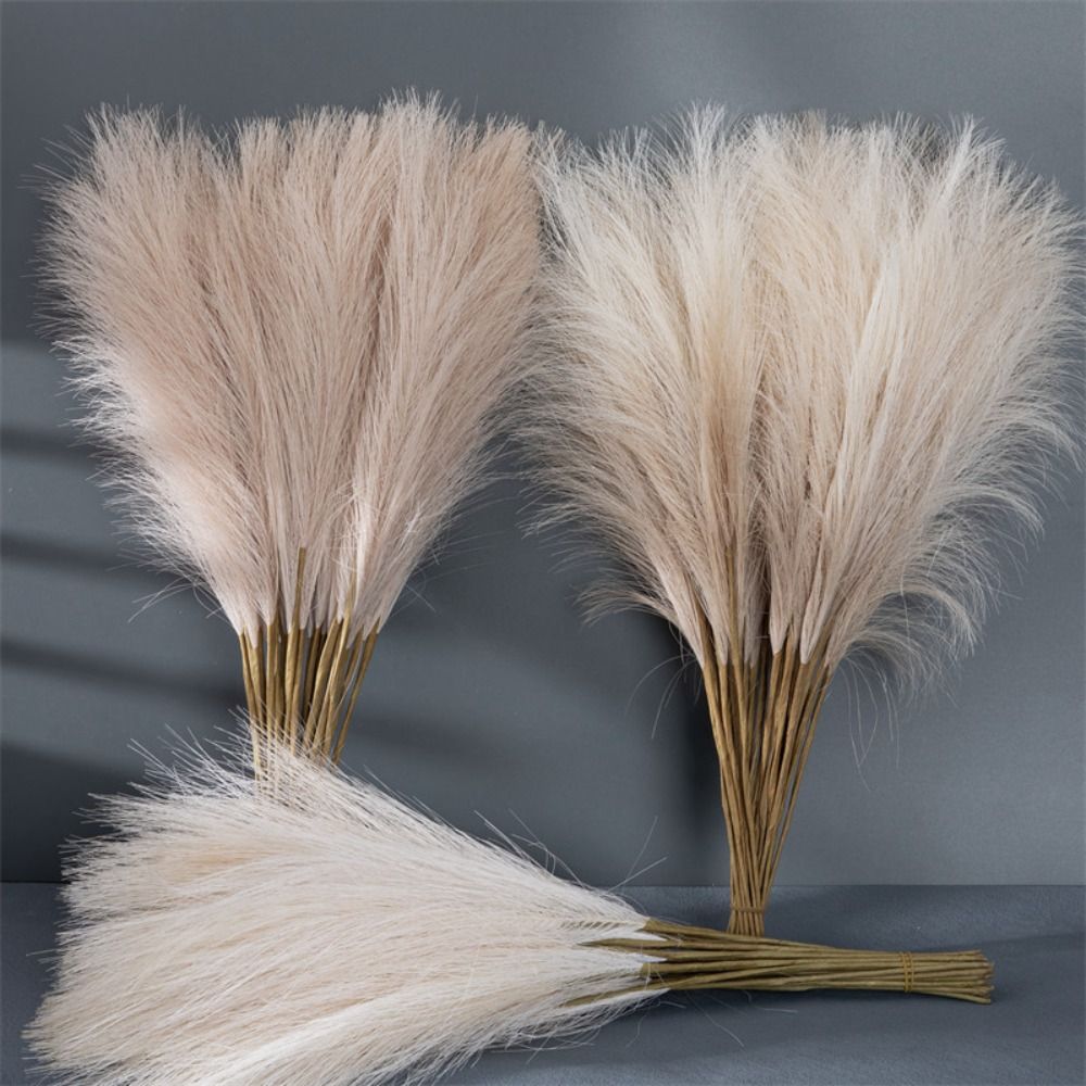 عشب البامباس الناعم، نباتات وز - مراجعة Pampas Grass Decor وسعره