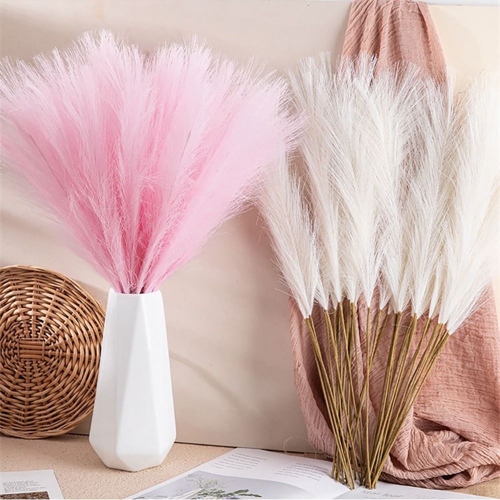 عشب البامباس الناعم، نباتات وز - مراجعة Pampas Grass Decor وسعره