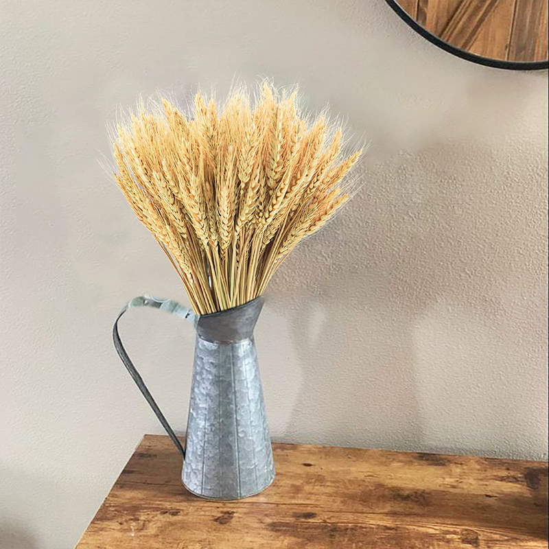 50/100/200 قطعة سيقان القمح ال - مراجعة Dried Flower Bouquet وسعره