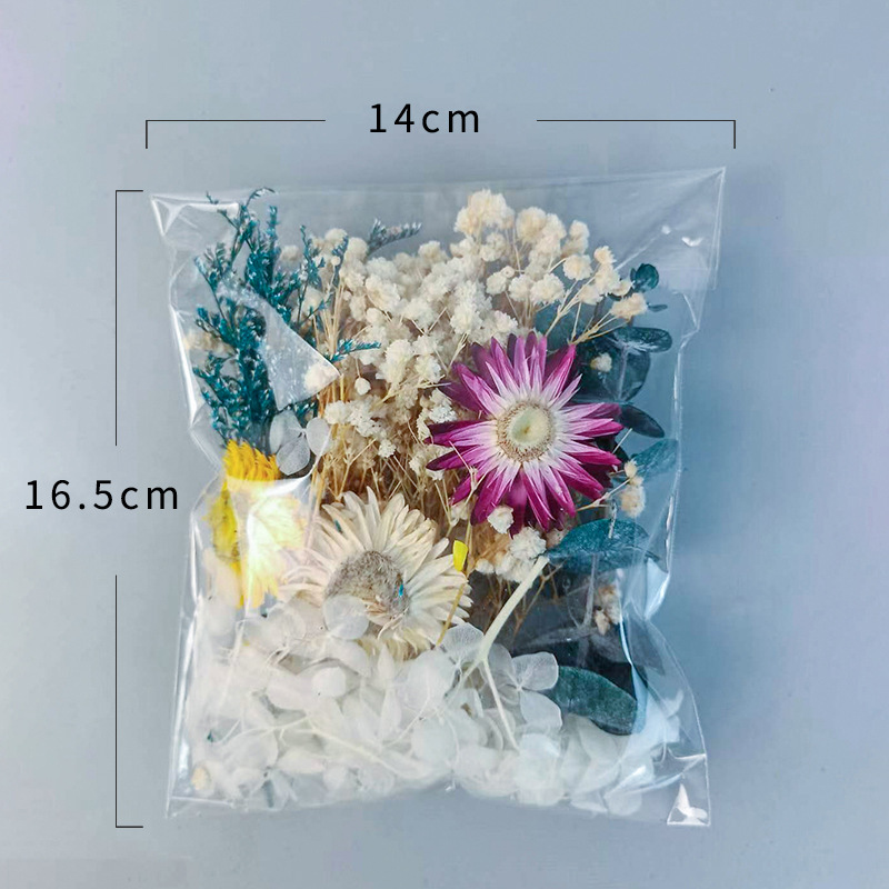 1 حزمة متعددة متنوعة الزهور ال - مراجعة Dried Flower Bouquet وسعره
