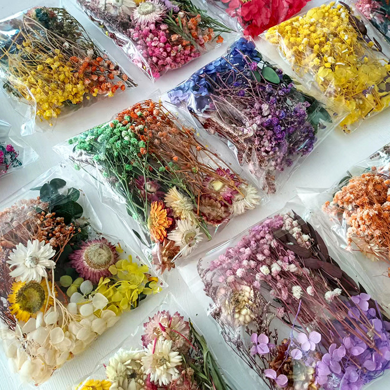 1 حزمة متعددة متنوعة الزهور ال - مراجعة Dried Flower Bouquet وسعره