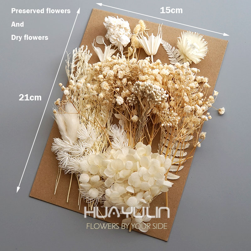 1 حزمة النباتات الاصطناعية الم - مراجعة Dried Flower Bouquet وسعره