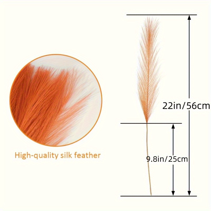 10 قطع من عشب البامباس البرتقا - مراجعة Pampas Grass Decor وسعره