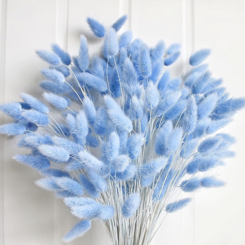 100 قطعة ذيل هير الأزرق العشب  - مراجعة Pampas Grass Decor وسعره