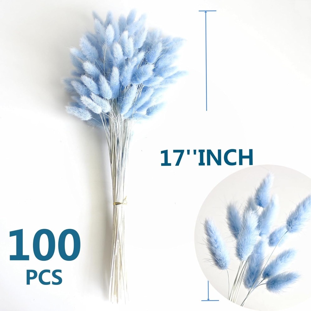 100 قطعة ذيل هير الأزرق العشب  - مراجعة Pampas Grass Decor وسعره