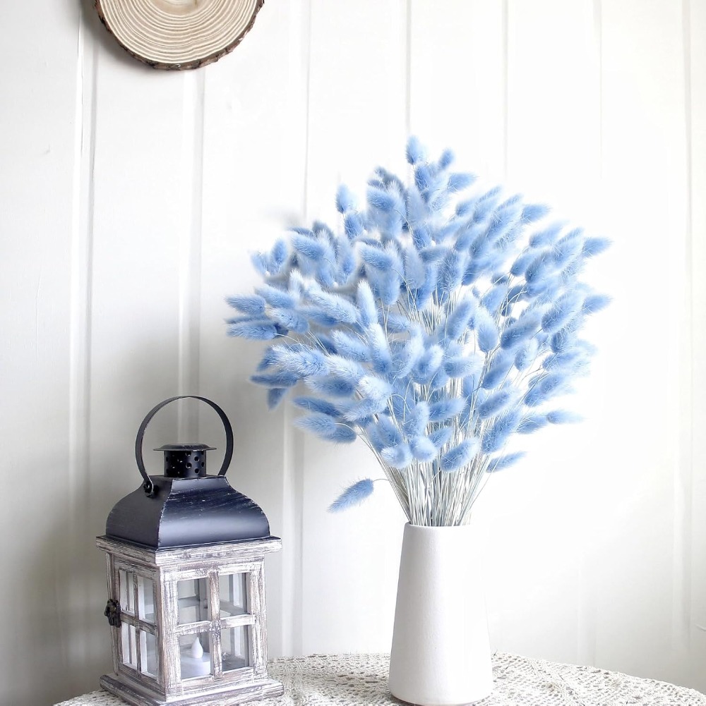 100 قطعة ذيل هير الأزرق العشب  - مراجعة Pampas Grass Decor وسعره