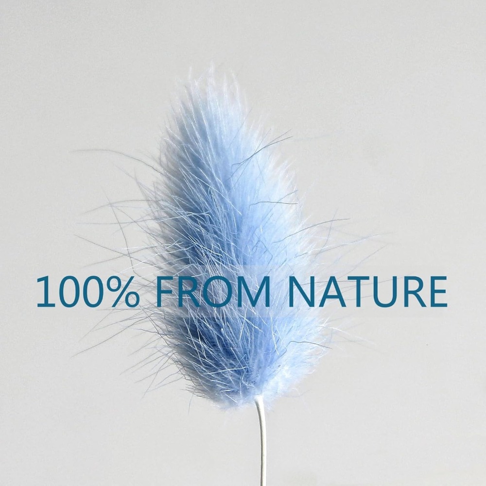 100 قطعة ذيل هير الأزرق العشب  - مراجعة Pampas Grass Decor وسعره
